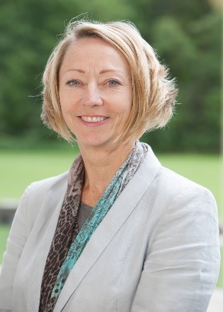 Sarah Law, Meercat Consulting