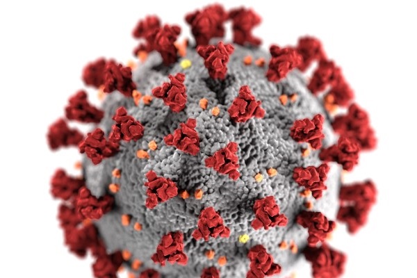 Coronavirus