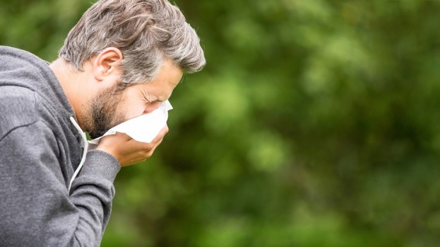 Man sneezing with hayfever or seasonal rhinitis in the spring