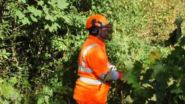 Network Rail contractor carrying out vegetation management