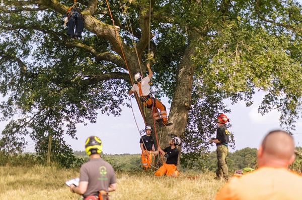 Working at height demonstration Environmental Forestry Ltd safety day