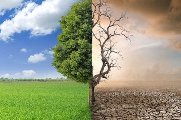 Extreme weather 